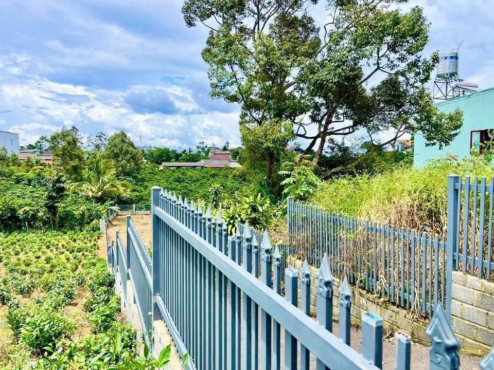 Đất thổ cư 1,2 sào Lê Phụng Hiểu, Bảo Lộc 3,3 tỷ - Vị trí đẹp, tiện ích đầy đủ!