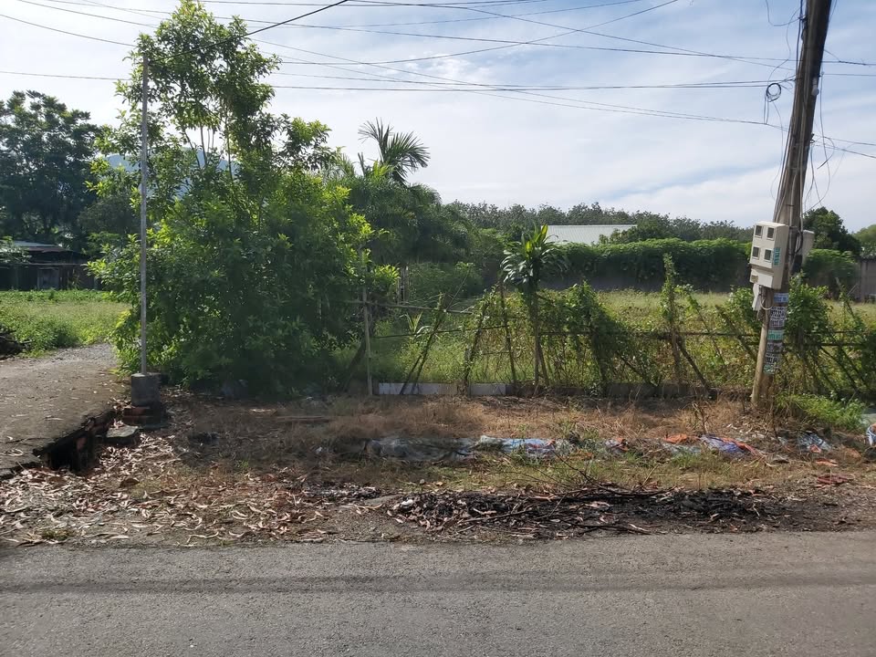 Đất biệt thự vườn Tóc Tiên Phú Mỹ 309m² - Sổ hồng riêng, giá siêu hấp dẫn!