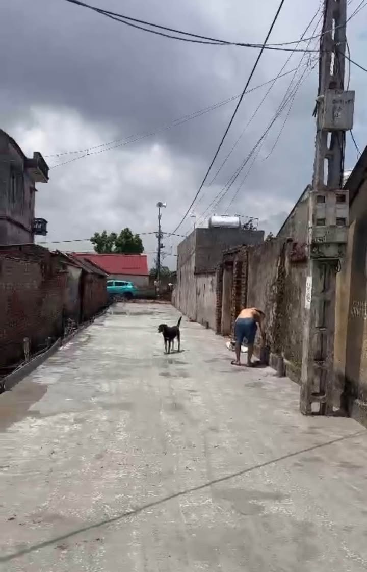 Đất nền Tam Đa - Yên Phong 90m² giá 1.1 tỷ - Đường rộng xe 29 chỗ vào tận nơi!