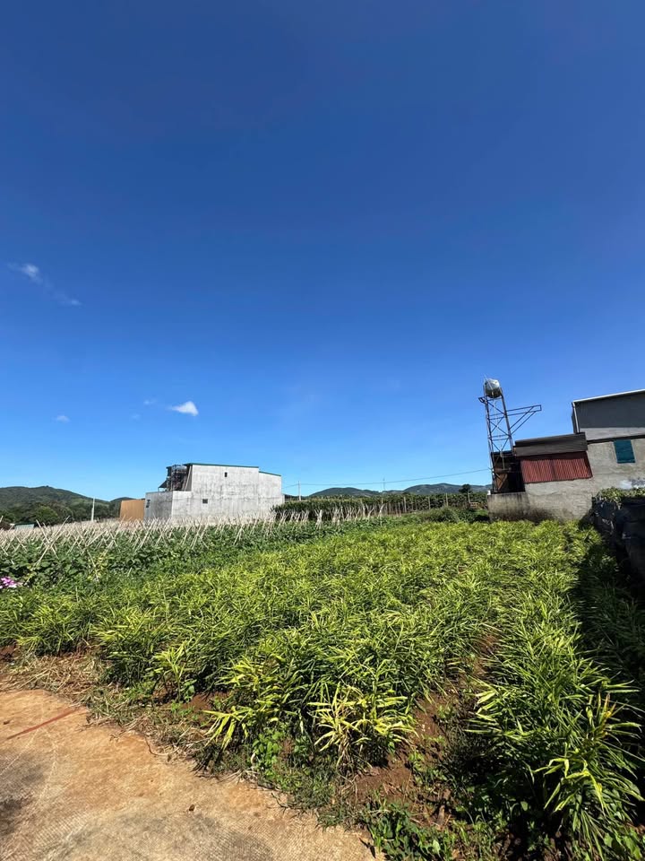 Đất thổ cư Liên Hiệp Đức Trọng 100m² giá 760 triệu - Cần bán gấp trong tuần!