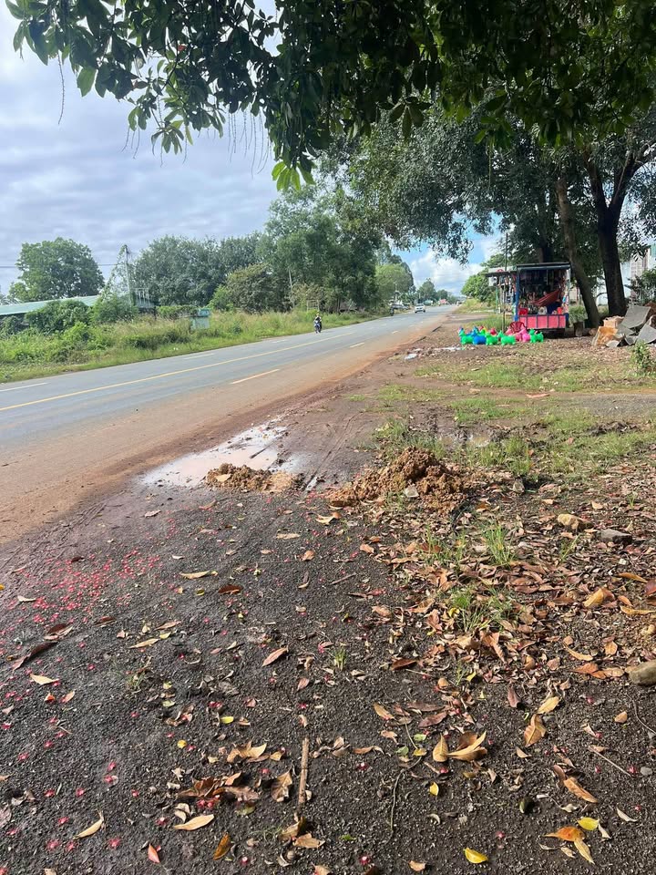 Đất mặt tiền Quốc Lộ 14, Đồng Tâm, 1920m² giá 3.6 tỷ - Cơ hội đầu tư tuyệt vời!