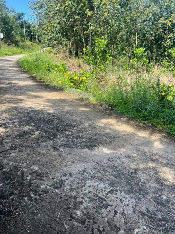 Đất nền liền kề 100m² tại Đồng Tâm, Cẩm Mỹ - Giá chỉ 300 triệu!