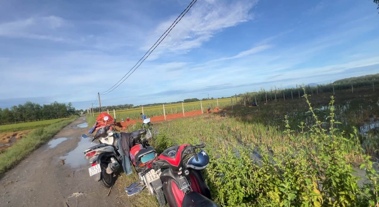 Đất lập vườn Gò Dầu Tây Ninh 1000m² giá 1.36 tỷ - Cơ hội đầu tư tuyệt vời!