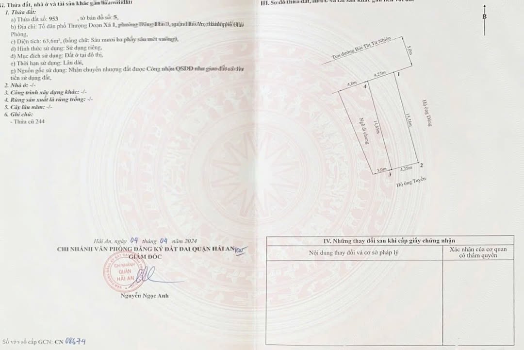 Đất Mặt Đường Bùi Thị Từ Nhiên 63.6m² giá 5.5 tỷ - Lô Góc Kinh Doanh Sầm Uất