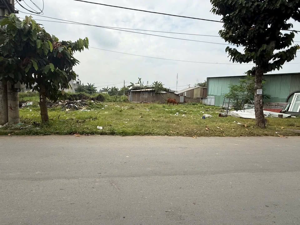 Đất kinh doanh Hóc Môn 135m² giá 4.48 tỷ - Sổ hồng riêng, thuận tiện buôn bán!