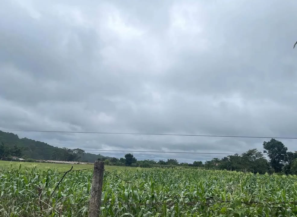 Đất Tà Nung Đà Lạt 500m² giá 4.5 tỷ - Tiềm năng kinh doanh tuyệt vời!