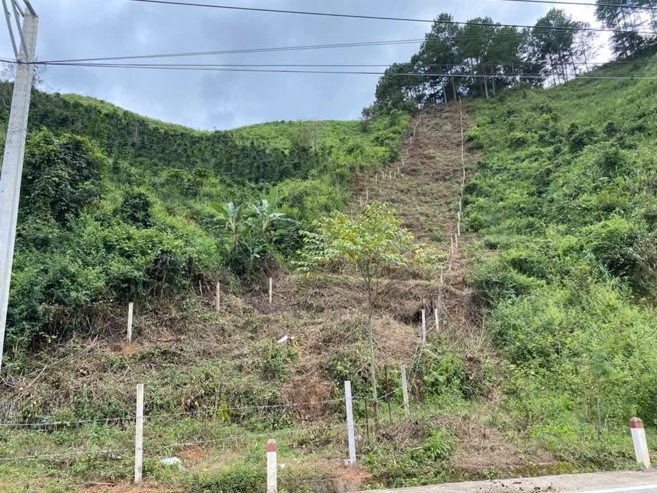 Đất mặt đường nhựa Xã Lát - Lạc Dương 1000m² chỉ 700 triệu - Cơ hội đầu tư tuyệt vời!