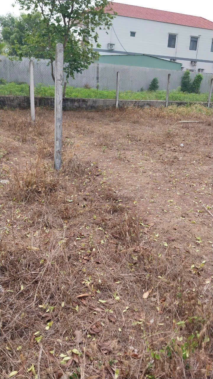 Đất nền mặt tiền đường Nguyễn Lương Bằng, 165m² giá 500 triệu - Đầu tư sinh lời ngay!