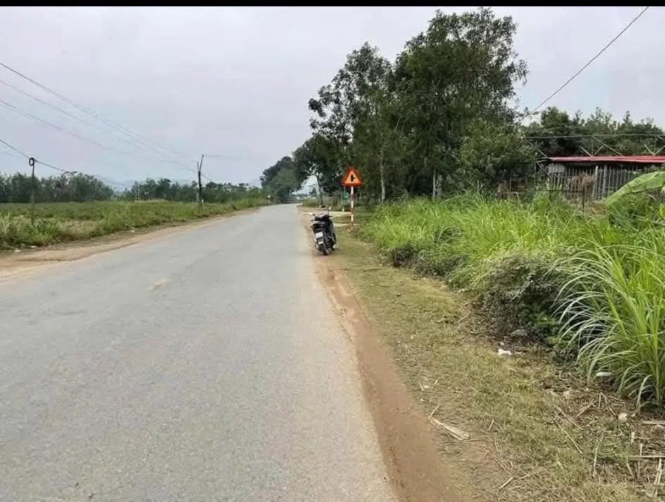 Đất liền kề Quốc lộ 217, Cẩm Tân 300m² giá 700 triệu - Đầu tư sinh lời ngay!