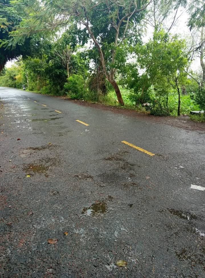 Đất nền ấp Bình Tân, xã Mỹ Hiệp, 1451m² giá 2.3 tỷ - Mặt tiền xe tải, vị trí đẹp!