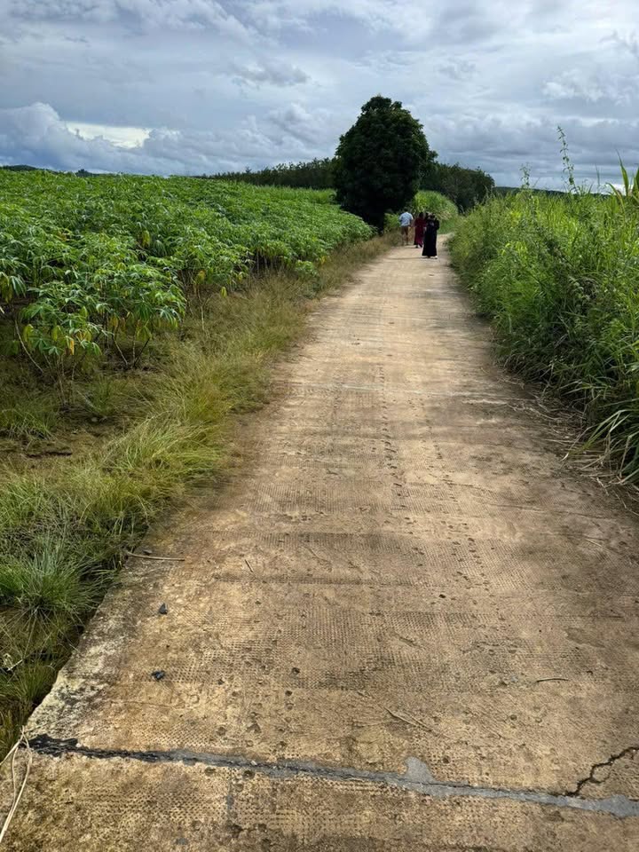 Đất Nông Nghiệp 5 sào tại xã Ia Chim - Giá thỏa thuận hấp dẫn!