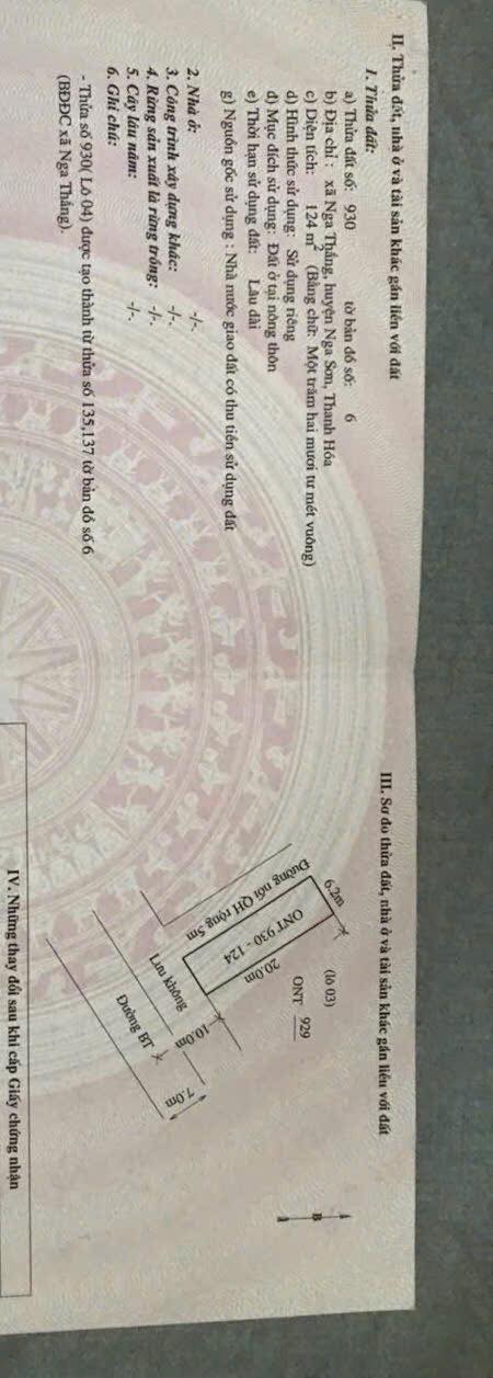 Đất nền xã Nga Thắng, huyện Nga Sơn 124m² giá chỉ 900 triệu - Đầu tư sinh lời hấp dẫn!