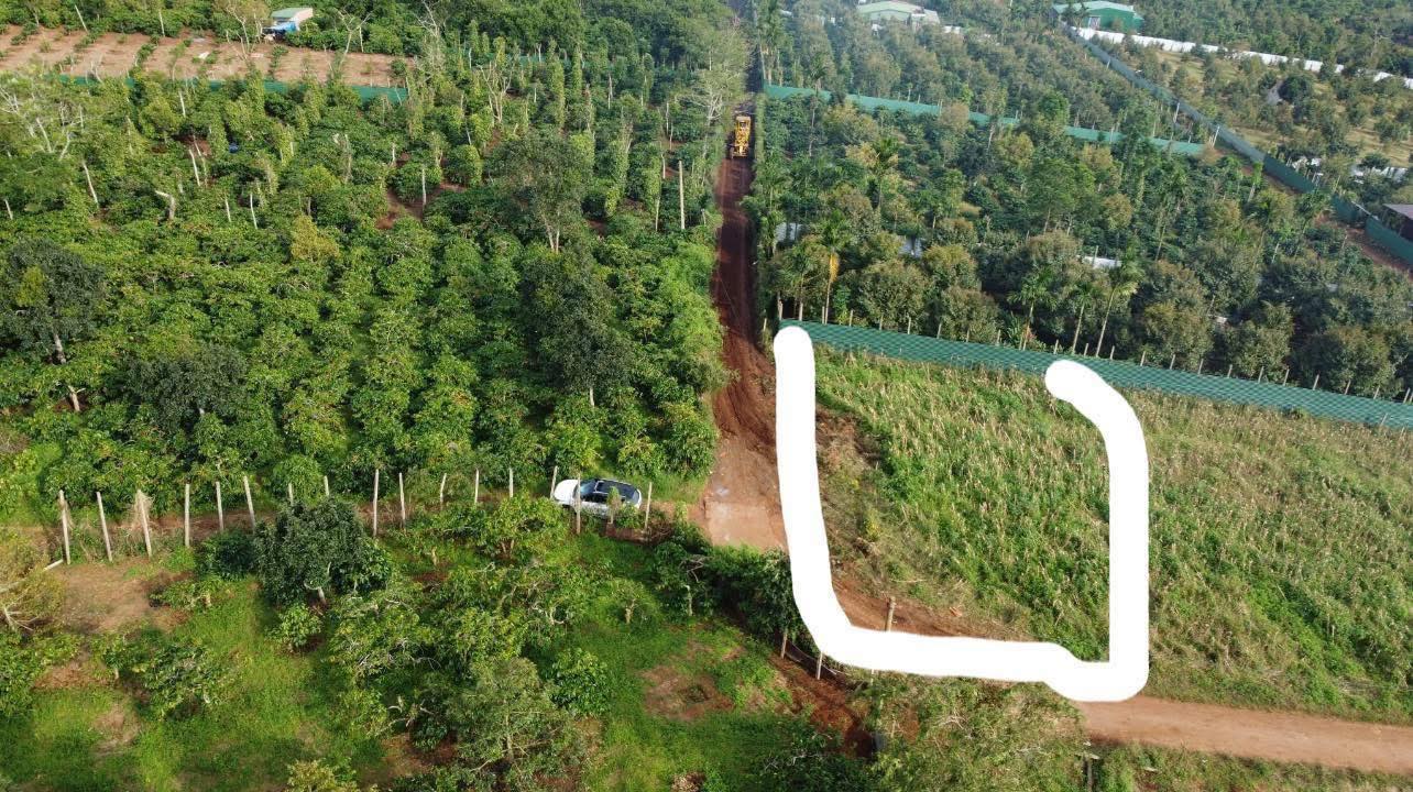 Đất nền Chợ Mới Pơng Drang 330m² giá 1.65 tỷ - Đầu tư sinh lời ngay!