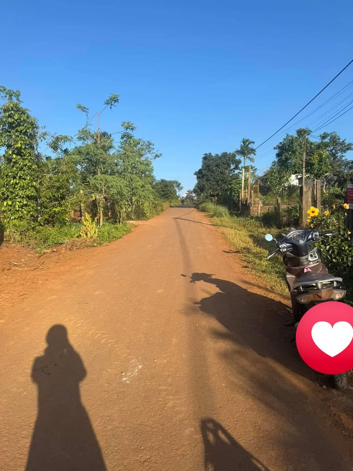 Đất mặt tiền Mai Xuân Thưởng, Đạt Hiếu 250m² giá 745 triệu - Cơ hội đầu tư hấp dẫn!