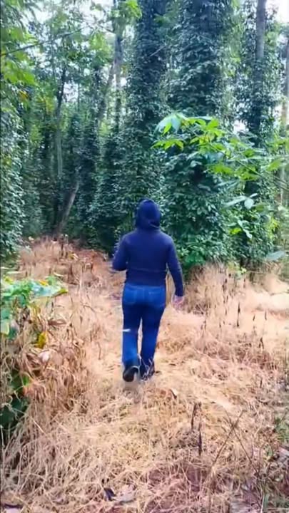 Đất farm Bàu Lâm Xuyên Mộc 10.800m² giá 1.75 tỷ - Đường bê tông, đất đỏ màu mỡ!