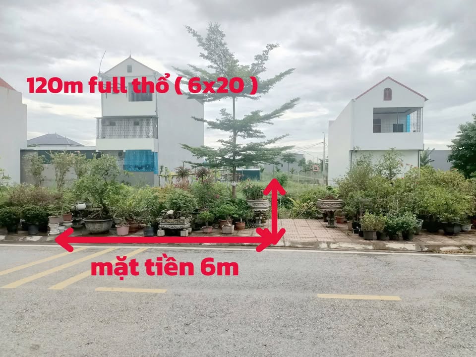 Đất thổ cư 120m² mặt tiền 6m tại Phùng Nguyên - Giá thương lượng hấp dẫn!