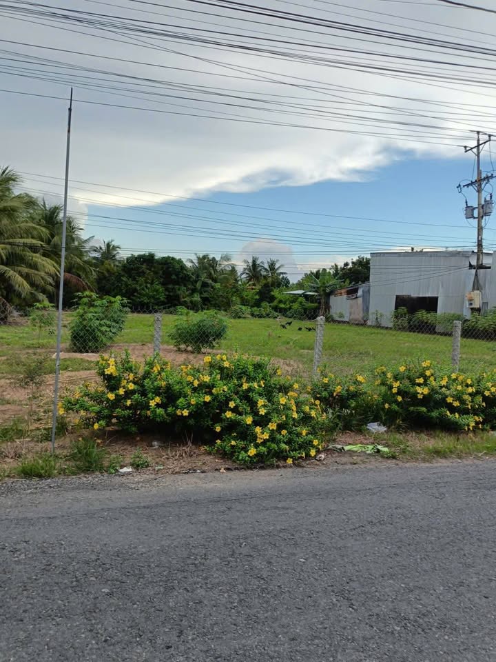 Đất Thổ Cư Lộ Bà Đầm, Thới Lai 1800m² giá 4.6 tỷ - Đầu tư tiềm năng cao!