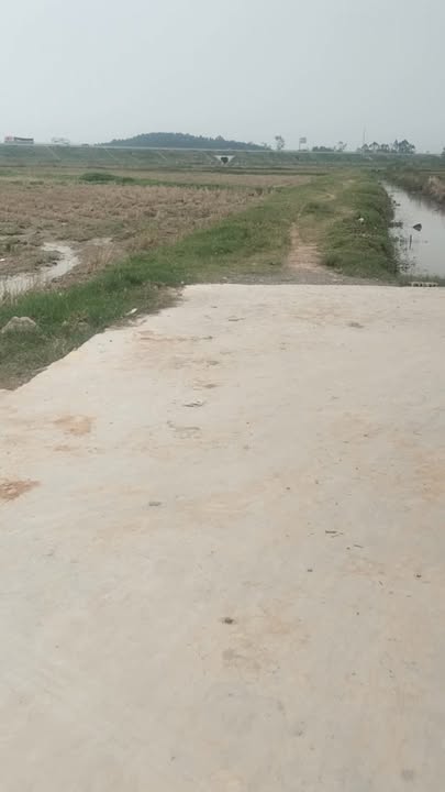 Đất nền xóm 4, xã Quỳnh Lâm, huyện Quỳnh Lưu 212m² - Vị trí đắc địa cho đầu tư!