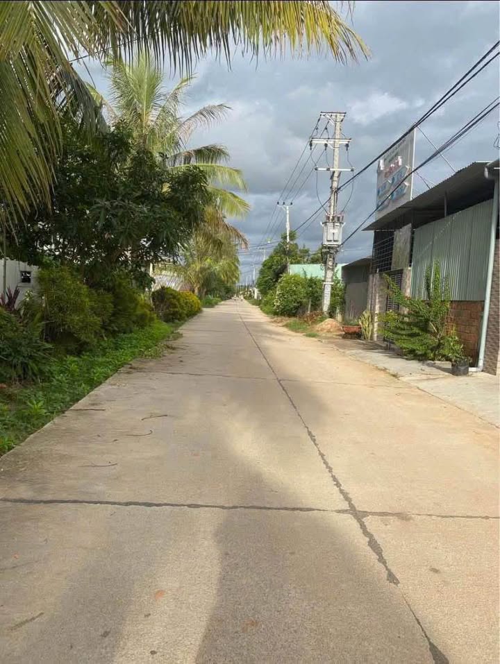 Đất thổ cư 115m² đường Nguyễn Thông, P. Nguyễn Trãi, Kon Tum - Giá chỉ 790 triệu!