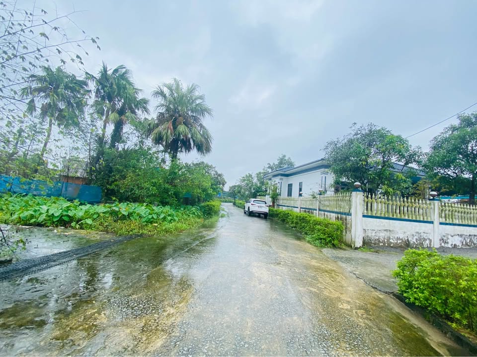 Đất thổ cư Thôn Đông Vĩnh, xã Cẩm Vịnh 500m² giá 2 tỷ - Đầu tư sinh lời tiềm năng!