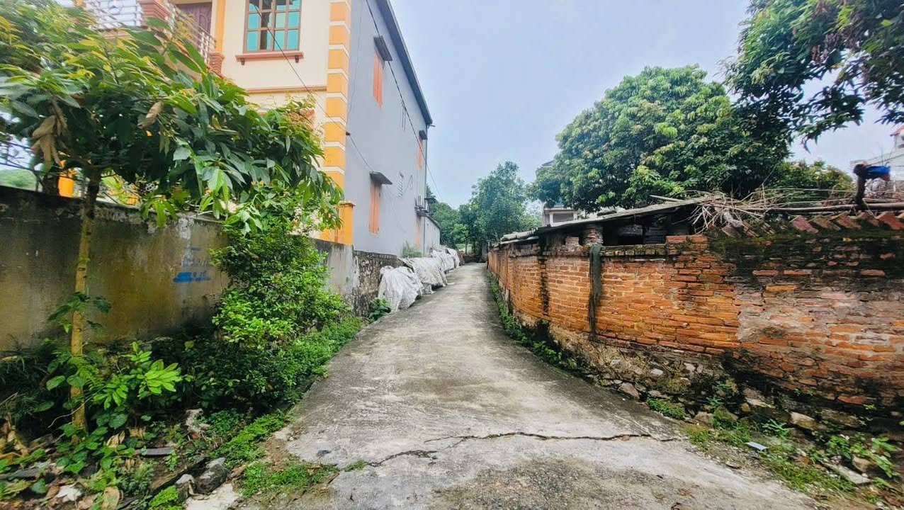 Đất nền Phù Lãng, Quế Võ, Bắc Ninh 150,8m² giá chỉ 869 triệu - Đầu tư sinh lời ngay!