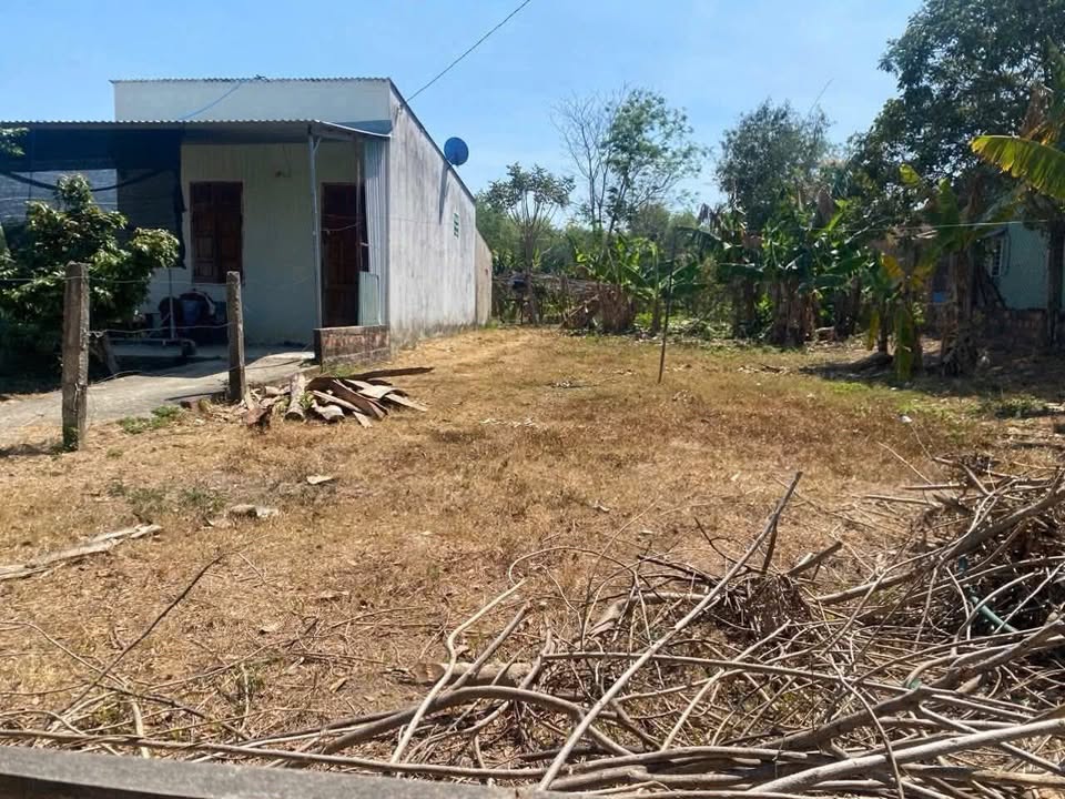 Đất thổ cư thôn 2 xã Đăk Cấm 250m² - Giá cực tốt, vị trí đẹp!