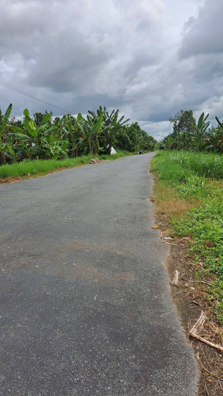 Đất nền mặt tiền Quốc lộ Nam Sông Hậu, 240m² chỉ 650 triệu - Cơ hội đầu tư tuyệt vời!