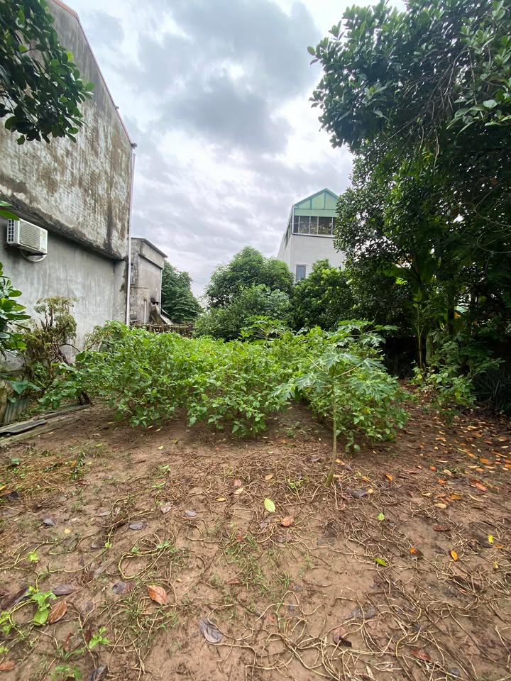 Đất 225m² tại Thịnh Lang, Hòa Bình chỉ 1.5 tỷ - Cơ hội cho nhà vườn lý tưởng!