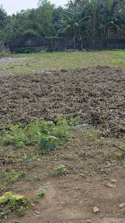 Đất nền mặt đường Du Lịch Cúc Phương, Nho Quan, 468m² giá 4 tỷ - Cơ hội đầu tư tuyệt vời!