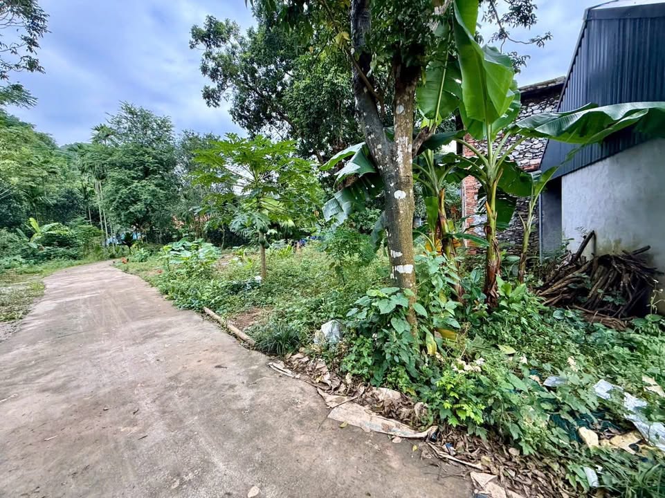 Farm đất Cao Dương Lương Sơn 593m² giá 2.1 tỷ - Không khí trong lành, phong cảnh đẹp!