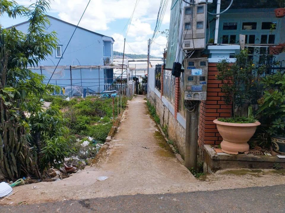 Đất Thái Phiên P12 Đà Lạt 62m² giá 650 triệu - Định cư lý tưởng!