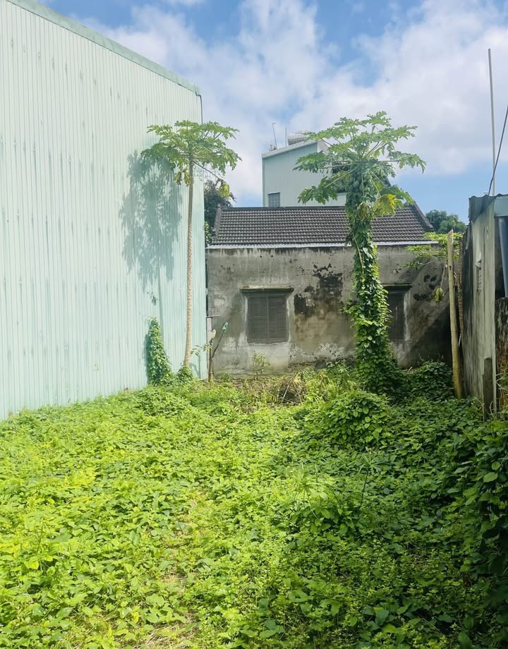 Lô đất 83.7m² kiệt Tôn Đản, Hòa An, Cẩm Lệ - Sổ hồng chính chủ chỉ 2.98 tỷ!