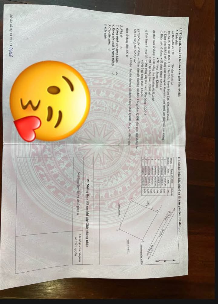 Đất nền Tân Minh, Hàm Tân 6685m² giá 18.9 tỷ - Cơ hội đầu tư tuyệt vời!