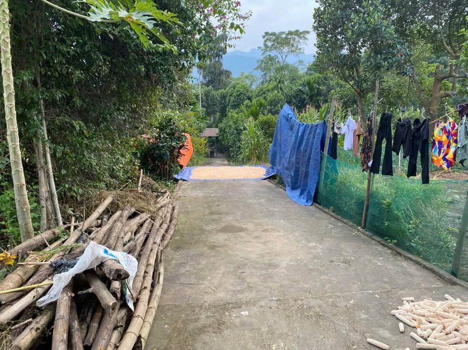 Trang trại Gia Phú Bảo Thắng 10.000m² giá 1.8 tỷ - Cơ hội đầu tư tuyệt vời!