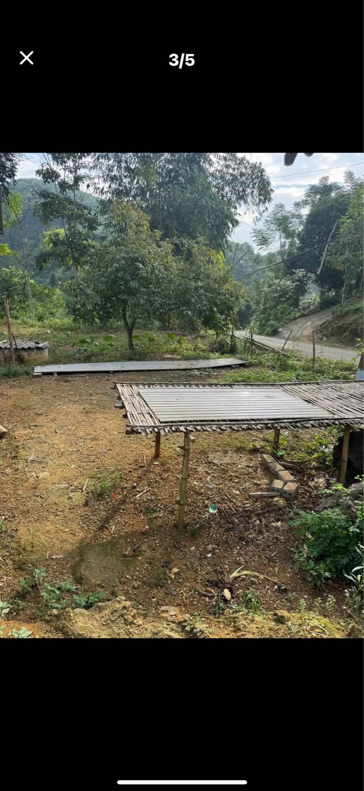 Đất nền Phong Hải, Bảo Thắng 3335m² giá 1.48 tỷ - Cơ hội đầu tư tuyệt vời!