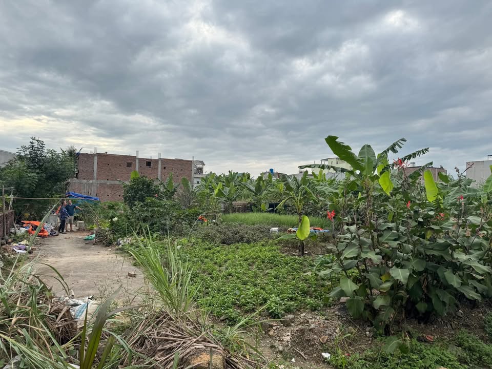 Đất bán tại làng Công An, Cao Xanh, 67m² giá 30 triệu - Vị trí đắc địa, tiện ích đầy đủ!