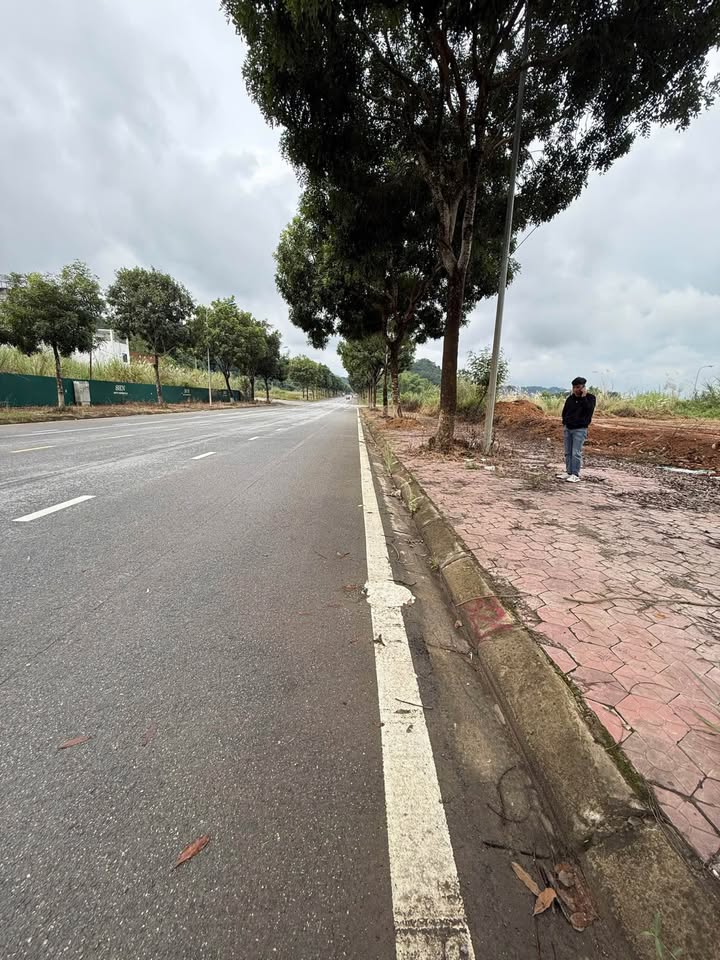 Đất nền Cam Đường Lào Cai 100m² - Giá 2.168 tỷ - Vị trí đẹp, nhanh tay kẻo lỡ!