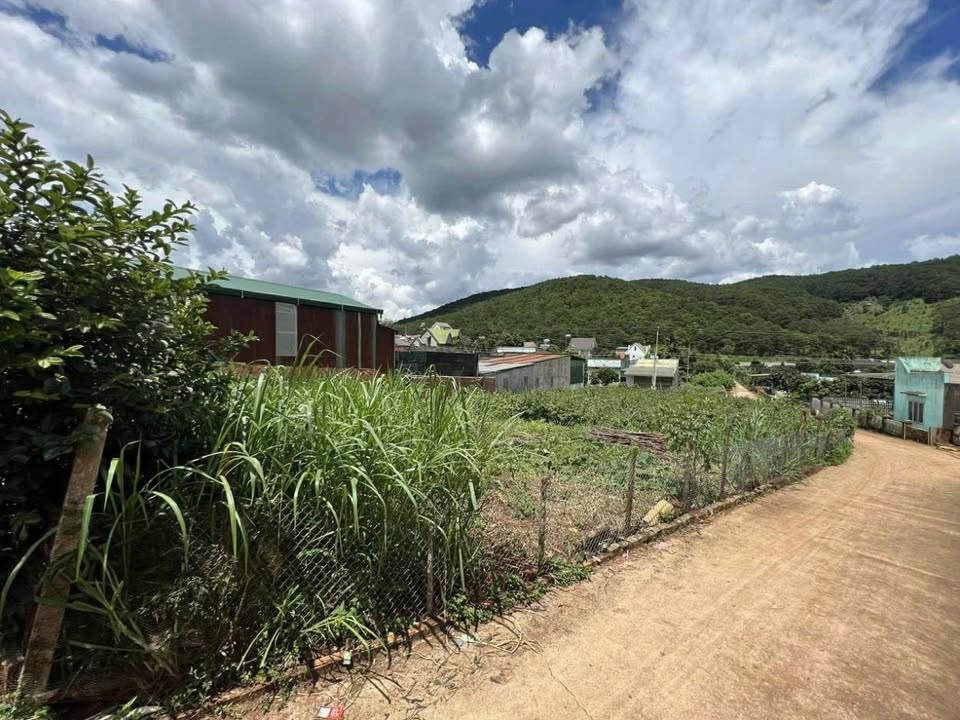 Đất nền Đạ Ròn 400m² giá 1.4 tỷ - Vị trí đầu tư lý tưởng!