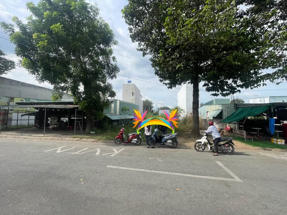 Đất nền KDC Hoàng Long Bến Lức 110m² giá 3.5 tỷ - Đầu tư sinh lời ngay!