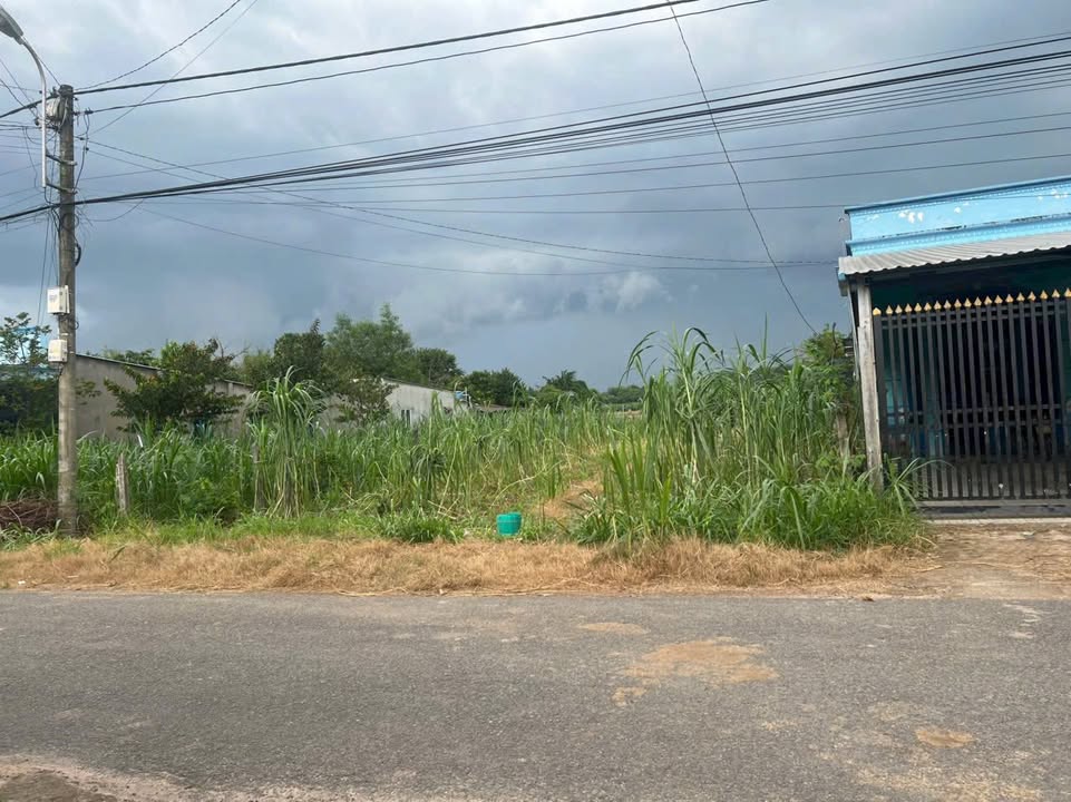 Đất mặt tiền đường 792, xã An Phú, Củ Chi 565m² - Đầu tư sinh lời ngay!