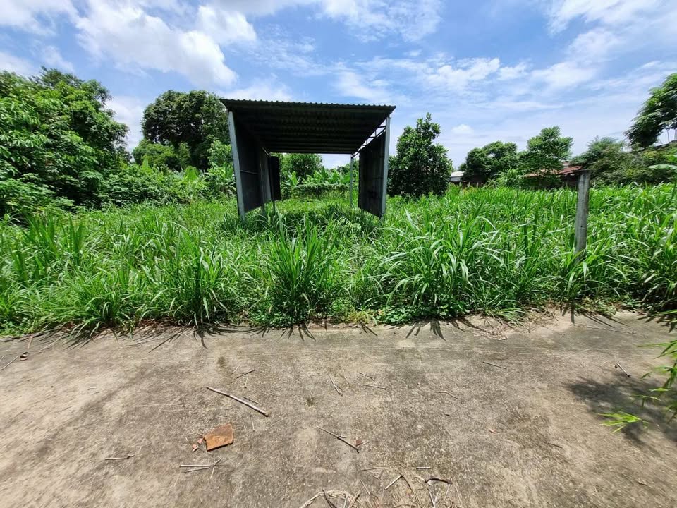 Đất Phú Hòa Đông, Củ Chi 460m² giá 2.5 tỷ - Pháp lý đầy đủ, thương lượng!