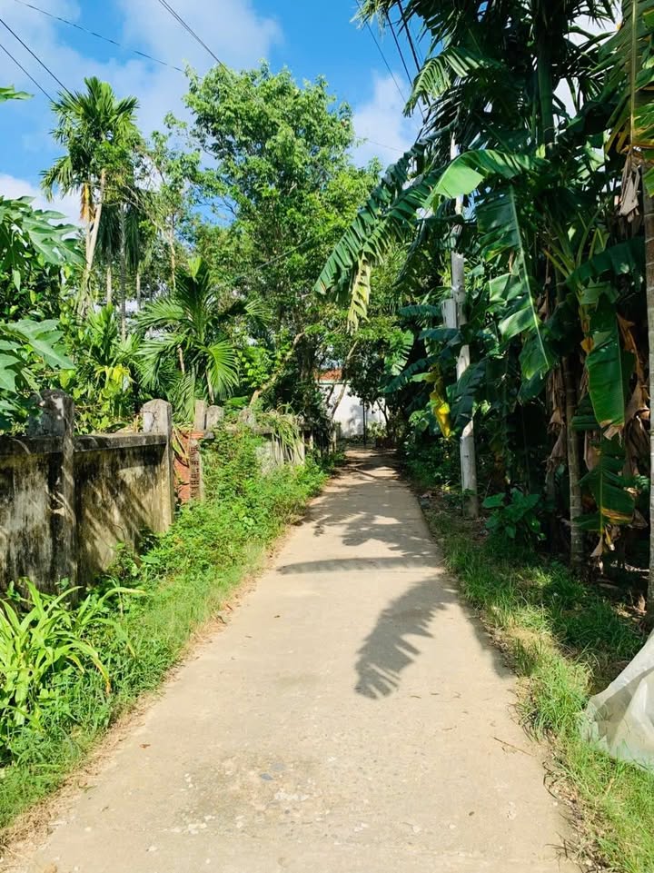 Đất Phong Niên Hạ - 116.1m² giá chỉ 5xx triệu - Đầu tư sinh lời nhanh chóng!