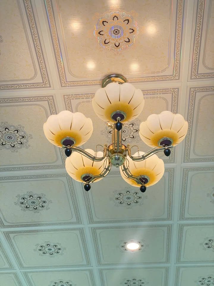 Nhà mới 350m² tại phường Lý Văn Lâm, Cà Mau - Giá thỏa thuận, vị trí đắc địa cho ở hoặc kinh doanh!