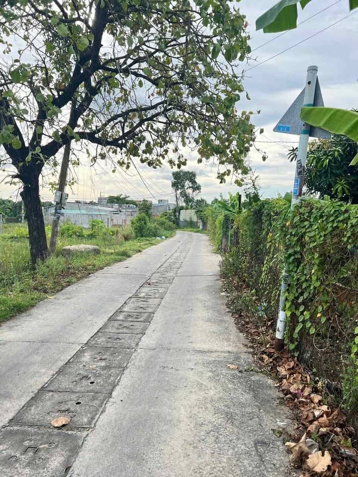 Đất thổ cư Long Hải 260m² giá 3.2 tỷ - Cơ hội đầu tư tuyệt vời!