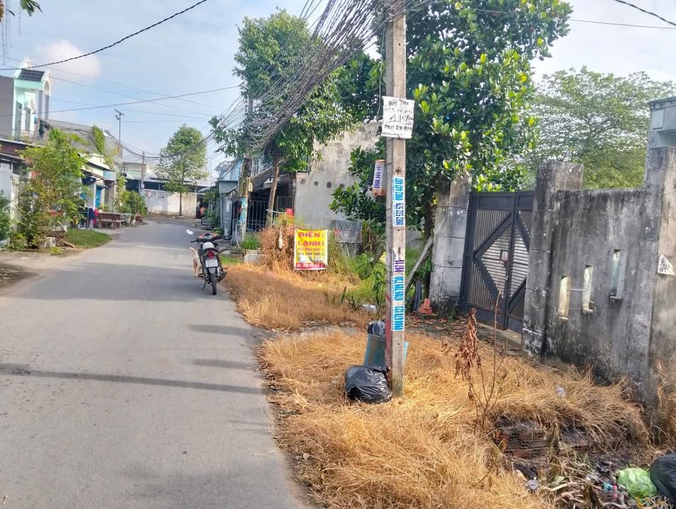 Bán gấp nhà cấp 4 mặt tiền đường nhựa ấp Mới 1, xã Mỹ Hạnh Nam, 500m² chỉ 3.6 tỷ!