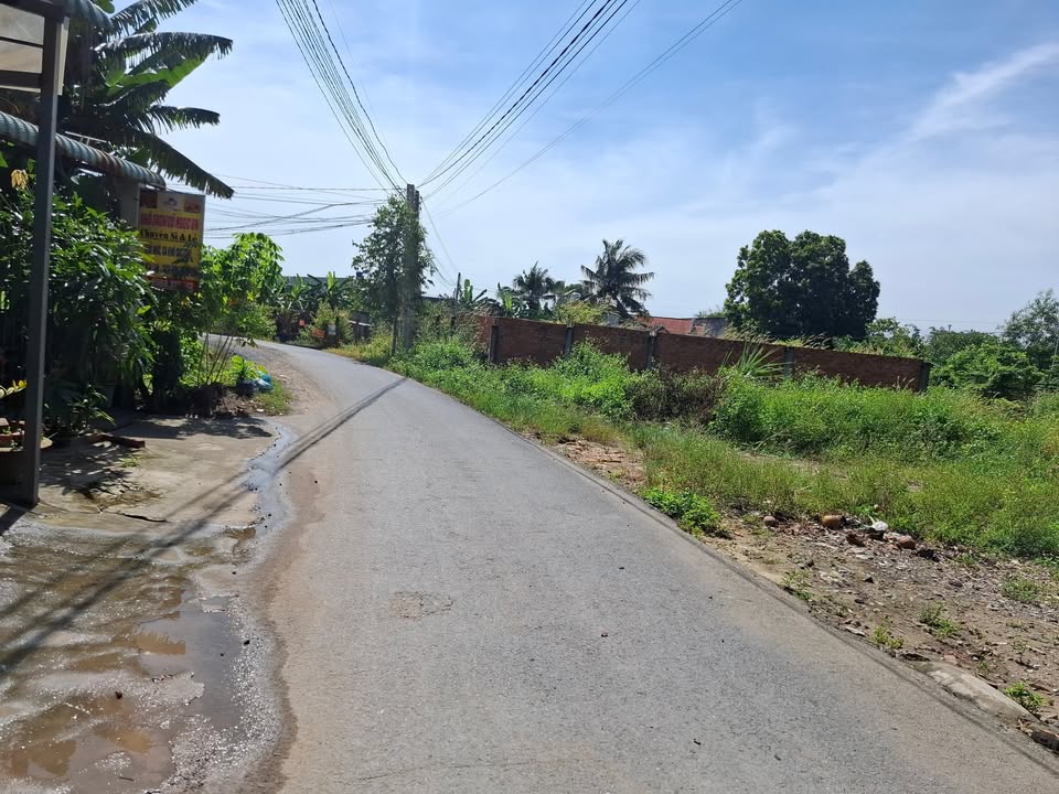 Đất mặt tiền đường Hoa Vàng, ấp Mới 1, 138m² chỉ 1.62 tỷ - Cơ hội đầu tư tuyệt vời!