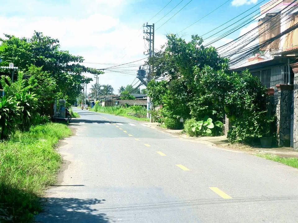 Đất nhựa Giồng Lớn, Đức Hòa 1150m² giá 31 tỷ - Cơ hội đầu tư hấp dẫn!