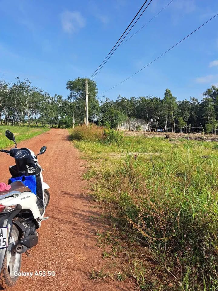 Đất thổ cư Đường sỏi Đỏ, xã Minh Hòa, huyện Dầu Tiếng, 250m² - Pháp lý rõ ràng, giá chỉ 300 triệu!