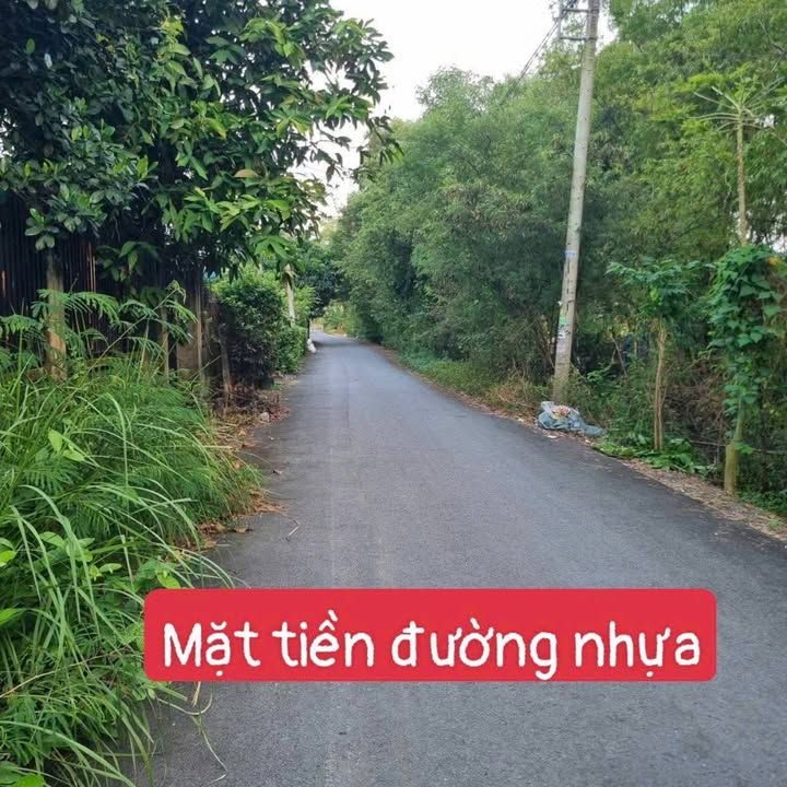 Đất thổ cư Hưng Long, Bình Chánh 140m² giá 2.2 tỷ - Mặt tiền đường nhựa xe tải