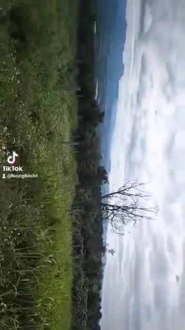 Lô đất Tân Văn Lâm Hà 507m² giá 1.4 tỷ - Đầu tư sinh lời ngay!